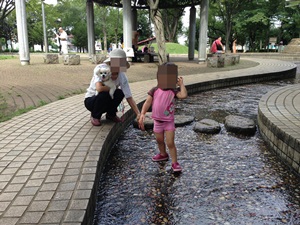 青葉台公園の水