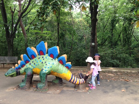 子供 自然 動物 公園