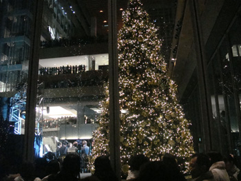 新丸ビルのクリスマスツリー